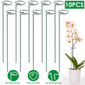 10-Pack: Plant Support Stake by DailySale