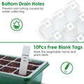 10-Piece: Reusable Seed Starter Tray Kit by DailySale