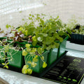 10" x 20" Seedling Heat Mat for Seed Germination by DailySale