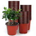 100-Piece: Plastic Plant Nursery Pots by DailySale