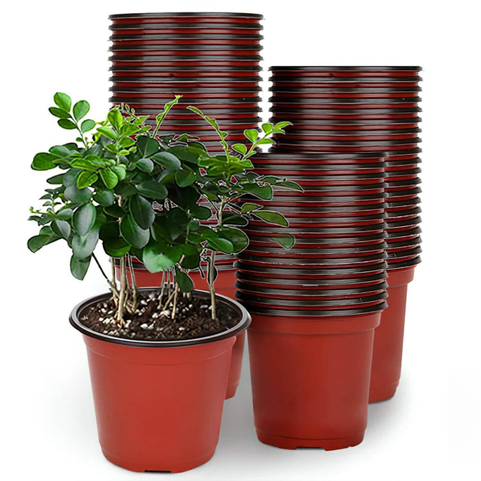 100-Piece: Plastic Plant Nursery Pots by DailySale