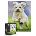 1000-Piece: Puzzle for Adults/Teens with Puzzle Saver Kit by DailySale