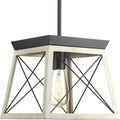 Progress Lighting Briarwood Collection 1-Light Graphite Pendant by Vanessa Jane