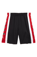 Jordan Little Boys Rise Colorblocked Shorts by Vanessa Jane