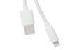 10ft Apple-Certified Lightning Cable by DailySale