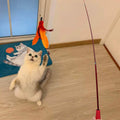 11-Pack: Interactive Cat Toy Wand by DailySale