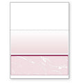 DocuGard 8 1/2x11 24 Lbs. Standard Security Business Bottom Checks 2500 by Vanessa Jane