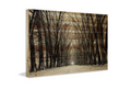 Parvez Taj Tree Path 45-Inch x 30-Inch Pine Wood Wall Art by Vanessa Jane