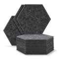 12-Pack: AGPTEK Acoustic Absorption Panels by DailySale