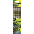 12-Pack: No 2 Scented Teenage Mutant Ninja Turtles Smencils by DailySale
