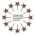12-Pieces: Anti-Rust Star Decorative Shower Curtain Hooks by DailySale