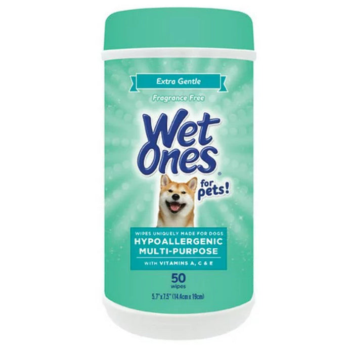 Wet Ones Wipes Xtra Gntl Hypoa by Pasteur Pharmacy