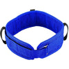 Nova Heavy Duty Gait Belt Blue 48"