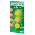 Ticonderoga Groove Pencils, HB (#2), Black Lead, Yellow Barrel, 10/Pack