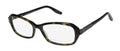 Barton Perreira Devereaux Eyeglasses by ModaFrames