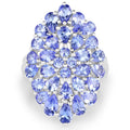 4.62 Carat Genuine Tanzanite .925 Sterling Silver Ring by Bids.com