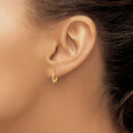 14k Gold Hinged Shrimp Earrings by Fine Color Jewels