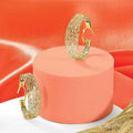 14K Gold Mesh Hoop Earrings by Fine Color Jewels