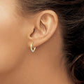 14k Gold Two-Tone Hollow Hoop Earring by Fine Color Jewels