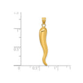14k Yellow Gold Hollow 3-D Italian Horn Pendant by Fine Color Jewels