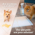 150-Pack: Puppy Pads Dog Pee Pad for Potty Training Dogs & Cats by DailySale