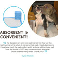 150-Pack: Puppy Pads Dog Pee Pad for Potty Training Dogs & Cats by DailySale