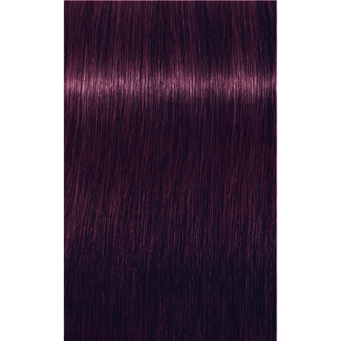 Schwarzkopf Igora Royal Permanent Hair Color - 0-99 Violet Concentrate by Pasteur Pharmacy