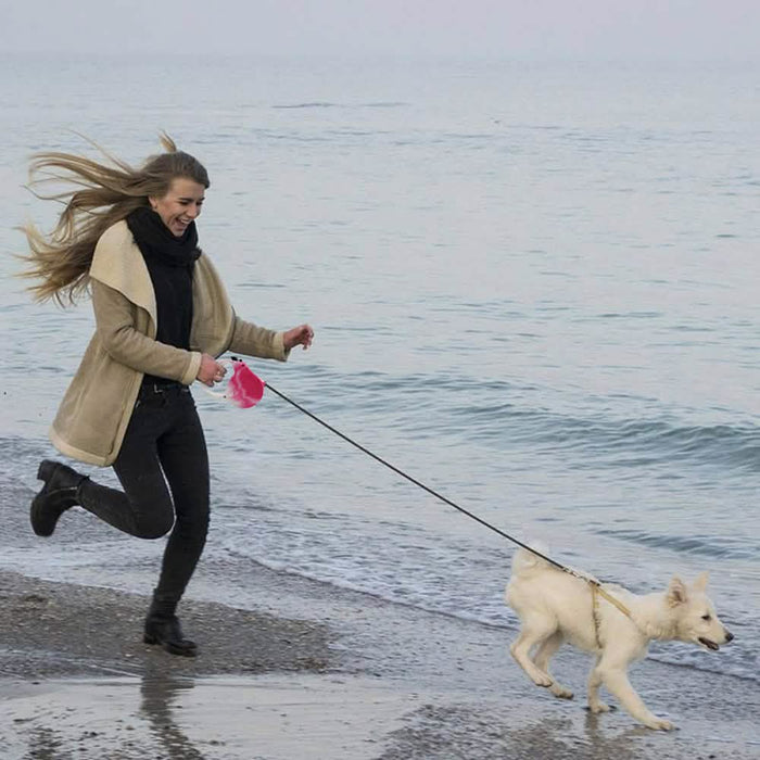 16 Feet Retractable Pet Leash by DailySale