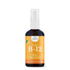 NB Pure Methyl B-12 Spray, 1 Fl Oz