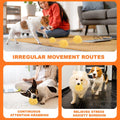 Smart Rolling & Bouncing Pet Ball – Motion-Activated by DailySale