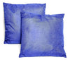 2-Pack: Blue Throw Pillows