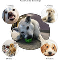 2-Pack: Dog Teething Toy Balls by DailySale