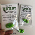 2-Pack: Green Tiny Turtle Good Luck Charm by DailySale