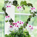 2-Pack: Heart-Shaped Plant Support Stake by DailySale