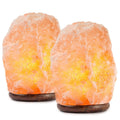 2-Pack: Hemingweigh Hand Carved Natural Crystal Himalayan Salt Lamp by DailySale