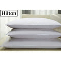 2-Pack: Hilton Hotel & Resort Collection Down-Alternative Pillow by DailySale