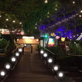 2-Pack: LED Solar Garden Outdoor Lights by DailySale