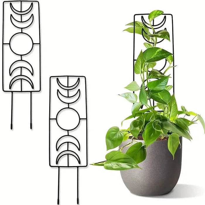 2-Pack: Metal Plant Trellis for Climbing Plants Indoor by DailySale
