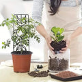 2-Pack: Metal Plant Trellis for Climbing Plants Indoor by DailySale