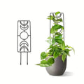 2-Pack: Metal Plant Trellis for Climbing Plants Indoor by DailySale