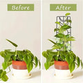 2-Pack: Metal Plant Trellis for Climbing Plants Indoor by DailySale