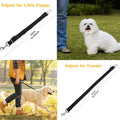 2-Pack: Multipurpose Pet Safety Vehicle Seat Belt by DailySale