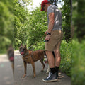 Muzzle Dog Repellent Pepper Spray by DailySale