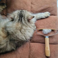 2-Pack: Pet Hair Remover Brush Manual Lint Roller by DailySale