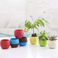 2-Pack: Plastic Plant Flower Pots by DailySale