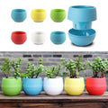 2-Pack: Plastic Plant Flower Pots by DailySale