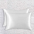 2-Pack: Silk Pillowcases by DailySale