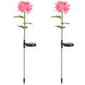 2-Pack: Solar LED Chrysanthemum Lights by DailySale