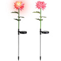 2-Pack: Solar LED Chrysanthemum Lights by DailySale