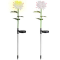 2-Pack: Solar LED Chrysanthemum Lights by DailySale